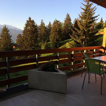 Skis - Promenade * Anzère